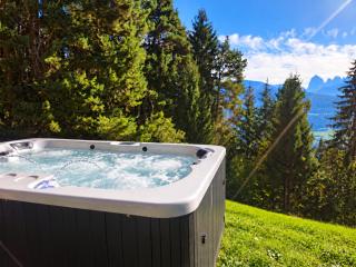 Alone in Chalet with view on Dolomites - 9