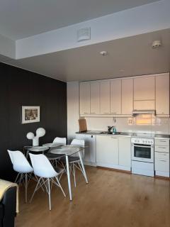 Arctic City Apartment with Sauna - 5