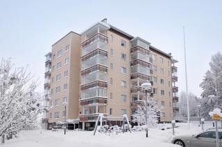Arctos City Suite, private sauna By Lapland Host - 5