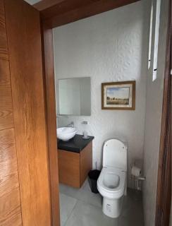 Nuevo Departamento Ajijic - 3