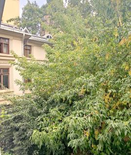 Zbor Apartment - 2BR at University Square and AC - Bucarest - 5