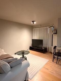 Entire flat centrum with Balcony close to the airport Sola centrum close to all shops - 8