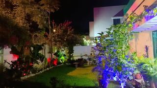 Luxury Villa Guest House - 1