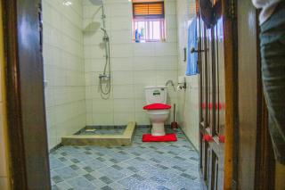 Pure Haven - 6