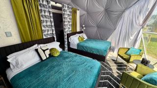 DayDreamer Domes - 6