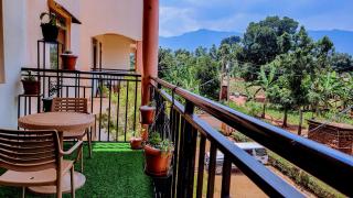 Pure Haven - 3