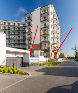 Blossom Every Day - Varsovia - 9