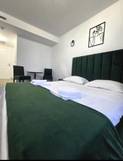 Hotel Francesca Timisoara - 7
