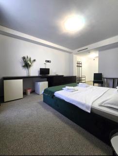 Hotel Francesca Timisoara - 2
