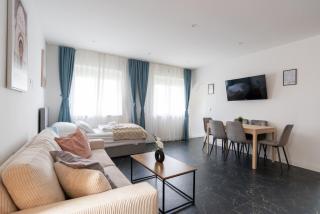 COY Apartments Purkersdorf - Garden Comfort for Work Family near Vienna - 9