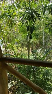 El Eden Bungalows - Mazunte - 1