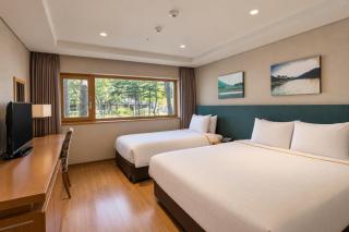 Mona YongPyong Hotel - 9