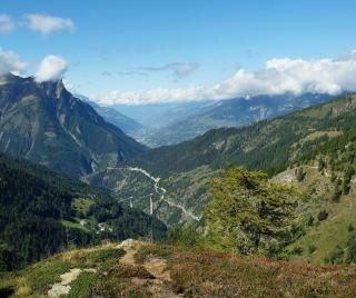 Chalet Avista - Rosswald - 4