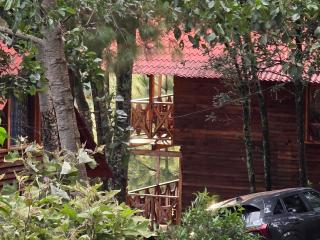 Cabaña en el Bosque de San José del Pacífico 3 - 9