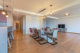 Modern penthouse with a terrace and a fantastic view - 8