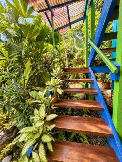 Casa Shambala Oasis Jungle & Beach 4 people - 2