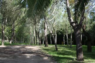 Bungalows y Glamping Medina Sidonia - Medina Sidonia - 4