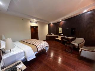 Hotel Samrat, New Delhi - 9