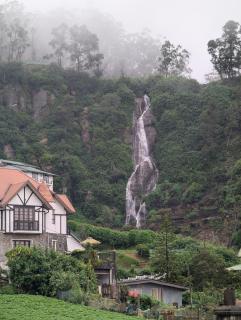 Whitelilybunglow - 1