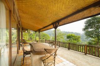 DWan Tea Mountain Side - 2