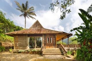 DWan Tea Mountain Side - 1