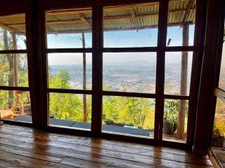 The Forest Cabin - 1