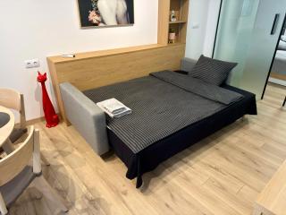 LOCATION ! Sofia Opera View Apartment - a unique view of the Sofia Opera, close to the Alexander Nevsky Cathedral and all other Sofia landmarks! - 1