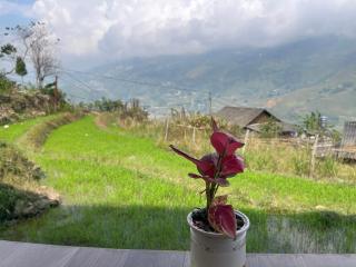 Mango Sa Pa Rice Terrace Bungalow - 5