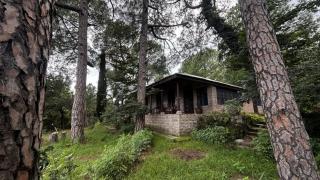 Whispering Pines - Heritage Retreat - 1