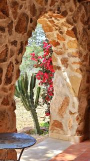 Chalet Les Pins - 6