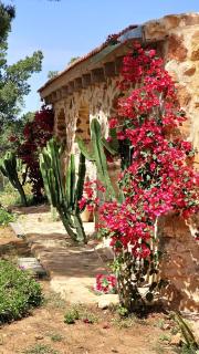Chalet Les Pins - 7