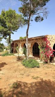 Chalet Les Pins - 9