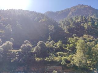 Riverside Premium Stay with Mountain View - 0