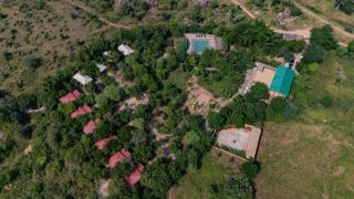 The Beehad Sariska - 0