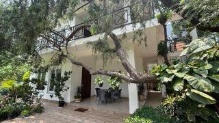 Peaceful, Luxe, - 3