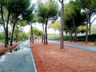 Montepino - 8