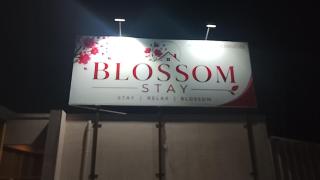 Blossom Stay - 2