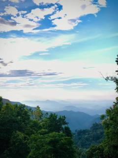 Ella Mountain Mist - 3