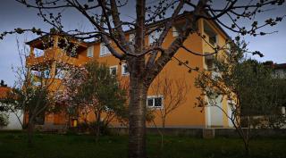 Apartmani Mihaela Dobropoljana 52 - Dobropoljana - 8
