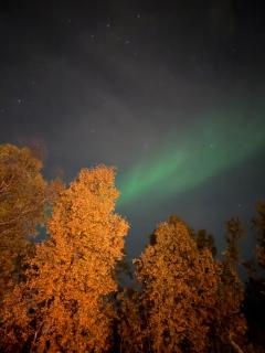 Håkøya Lodge - 3