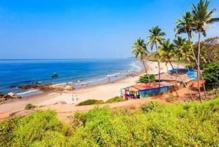 Sun shine Goa baga - 7
