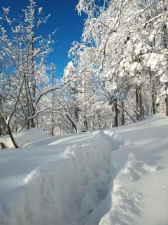 雪谷瑞雪居精品民宿 - 3