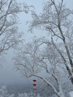 雪谷瑞雪居精品民宿 - 4