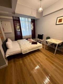 Quiet Central Studio Near NDK - 8
