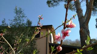 Agriturismo Podere Borgognano - Massa Marittima - 3