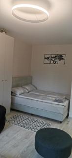 SK apartament - 5