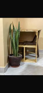 Rosa homes - 1