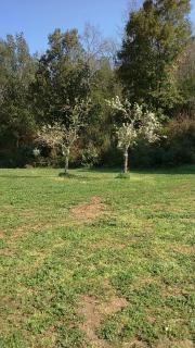 Agriturismo Podere Borgognano - Massa Marittima - 1