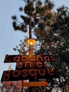 Cabaña en el Bosque de San José del Pacífico - 9