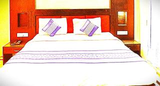 Hotel Blue lily In puri - 5